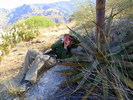 photo thumbnail #5