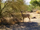 photo thumbnail #14