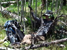 photo thumbnail #13