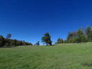 photo thumbnail #15