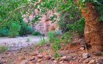 photo thumbnail #11
