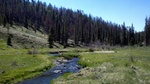 photo thumbnail #2