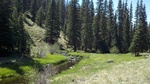 photo thumbnail #3