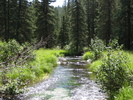 photo thumbnail #9
