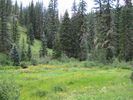 photo thumbnail #11