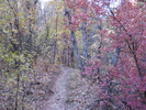 photo thumbnail #3