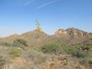 photo thumbnail #1