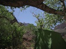 photo thumbnail #11