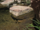 photo thumbnail #13
