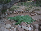 photo thumbnail #14