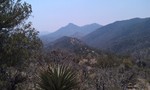 photo thumbnail #4