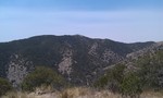 photo thumbnail #10