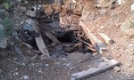 photo thumbnail #3
