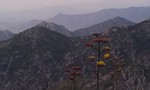 photo thumbnail #6