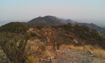 photo thumbnail #8