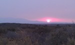 photo thumbnail #13
