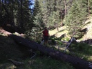 photo thumbnail #3