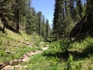 photo thumbnail #7