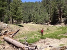 photo thumbnail #8