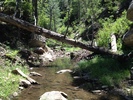 photo thumbnail #11