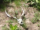 photo thumbnail #12