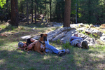 photo thumbnail #12
