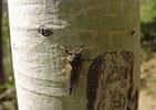 photo thumbnail #7