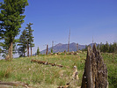 photo thumbnail #8