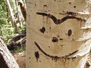 photo thumbnail #11