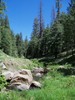 photo thumbnail #8