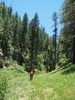 photo thumbnail #11