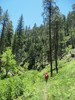 photo thumbnail #12