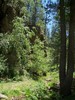 photo thumbnail #14