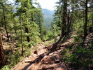 photo thumbnail #5