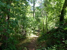 photo thumbnail #8