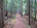 photo thumbnail #11