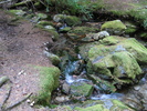 photo thumbnail #2