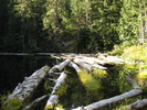 photo thumbnail #8