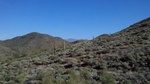 photo thumbnail #2