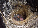 photo thumbnail #3