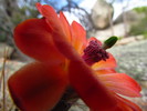 photo thumbnail #8