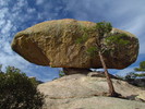 photo thumbnail #9