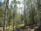 photo thumbnail #3