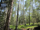 photo thumbnail #4