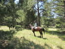 photo thumbnail #6