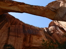 photo thumbnail #11
