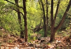photo thumbnail #6