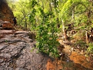 photo thumbnail #8