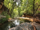 photo thumbnail #14