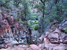 photo thumbnail #5